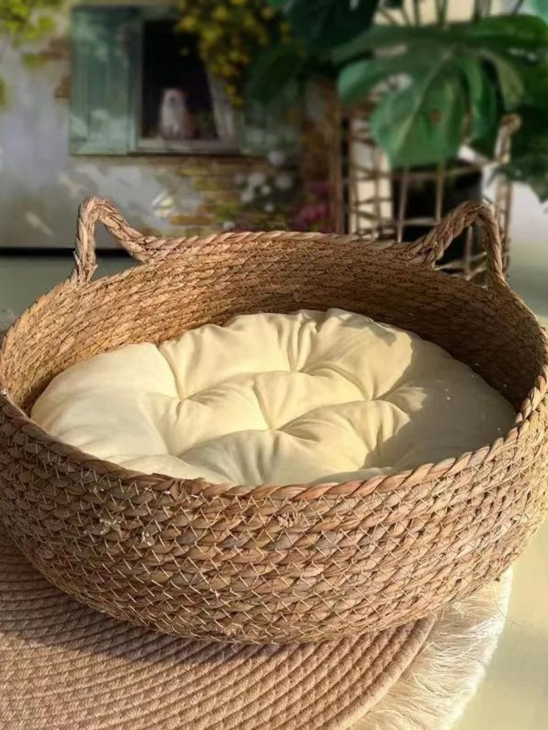 Panier en osier pour chat avec coussin 46cm